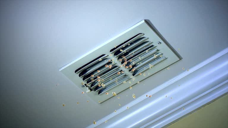 Best Air Vent Cleaning Services  in Forest City, PA